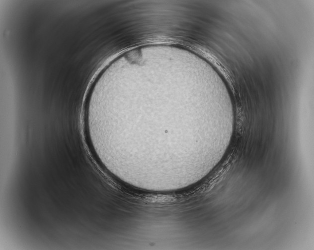 X0000093401187200711091335