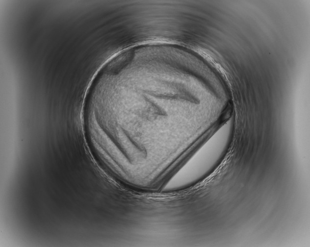 X0000093401189200711091335