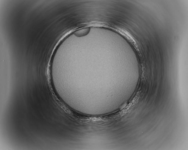 X0000093401190200711091335