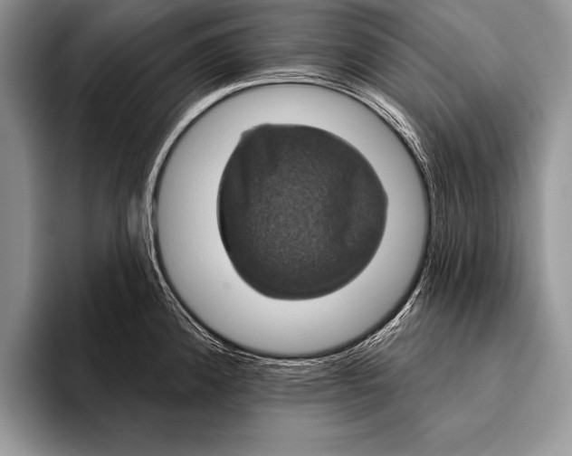 X0000093401192200711091335