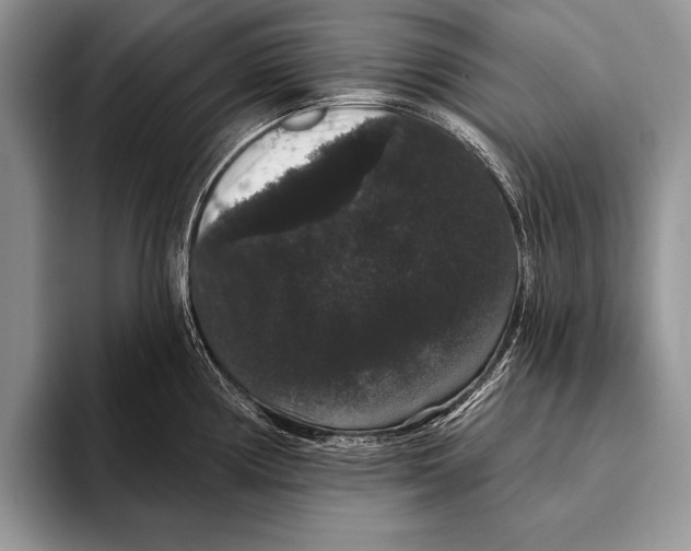 X0000093401194200711091335