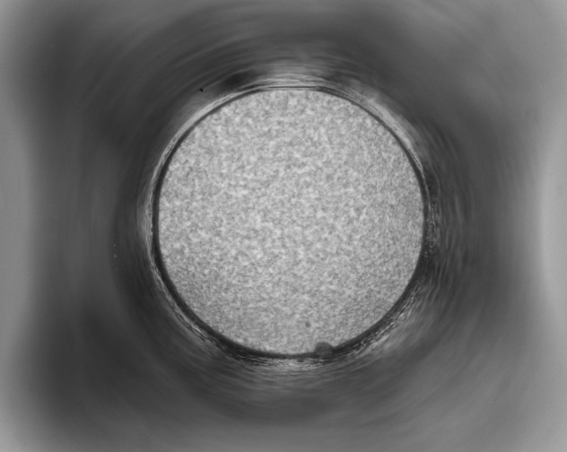 X0000093401195200711091335