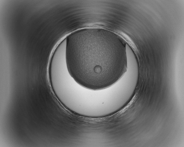 X0000093401196200711091335