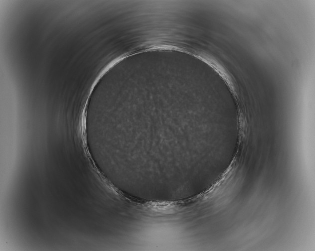 X0000093401198200711091335