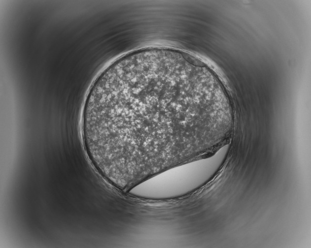 X0000093401199200711091335