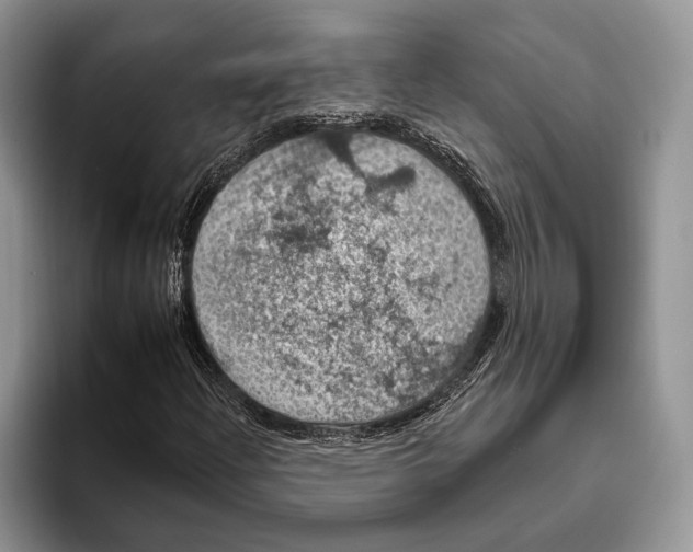 X0000093401204200711091334