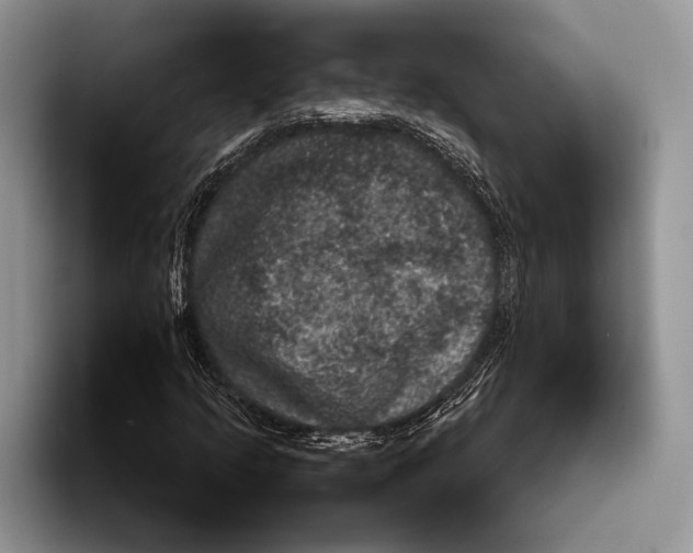 X0000093401205200711091335