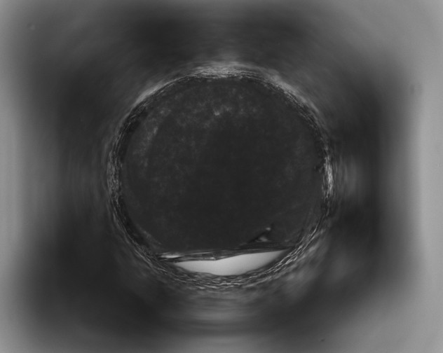 X0000093401206200711091335