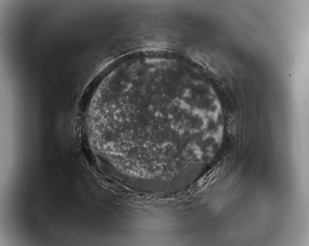 X0000093401208200711091335