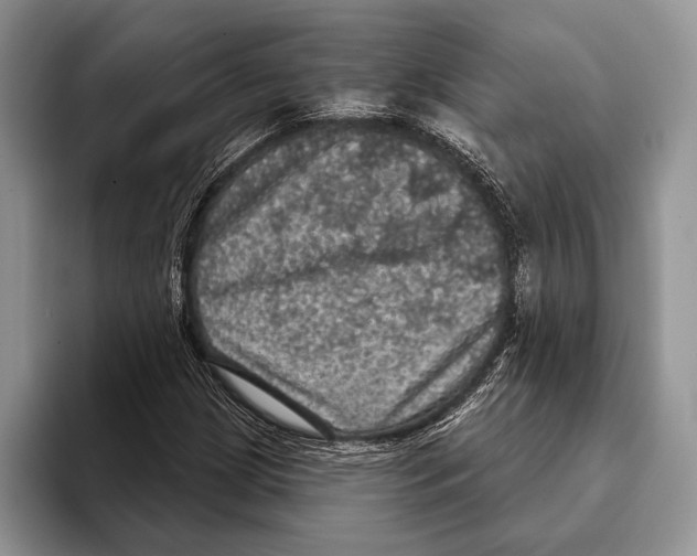 X0000093401209200711091335