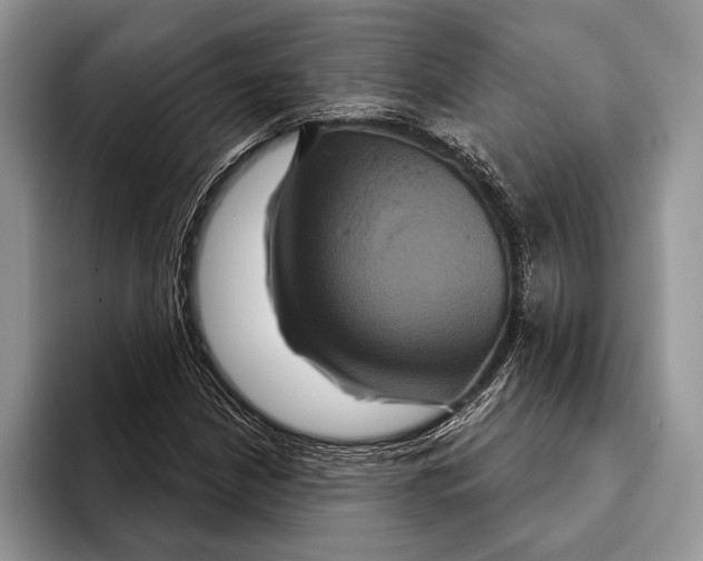 X0000093401210200711091335