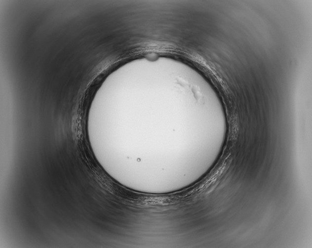 X0000093401211200711091335