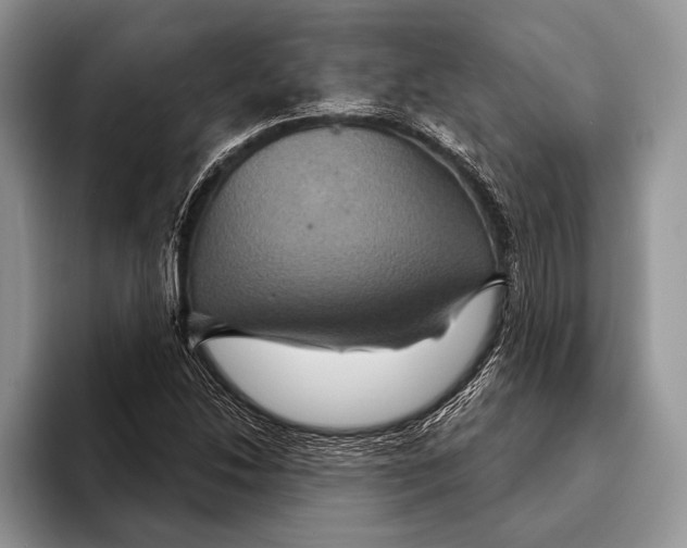 X0000093401214200711091335