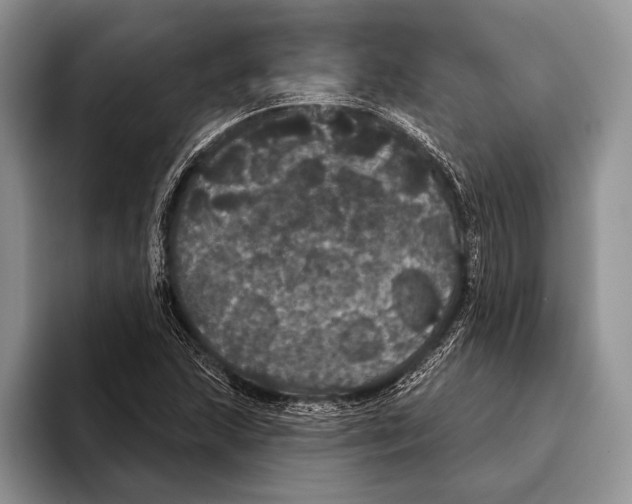 X0000093401215200711091335