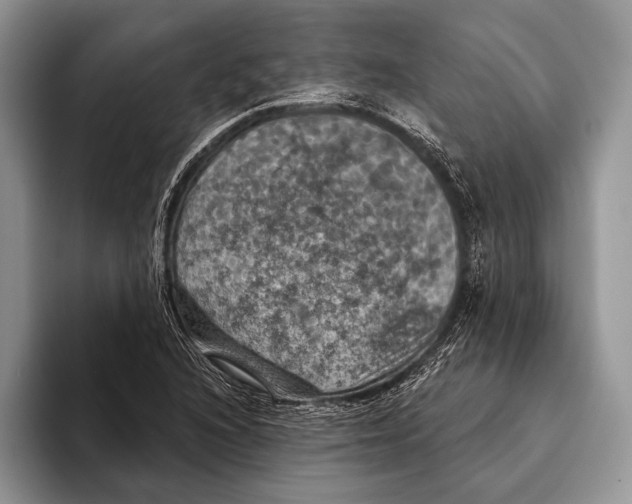 X0000093401216200711091335