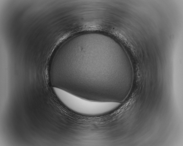 X0000093401218200711091335