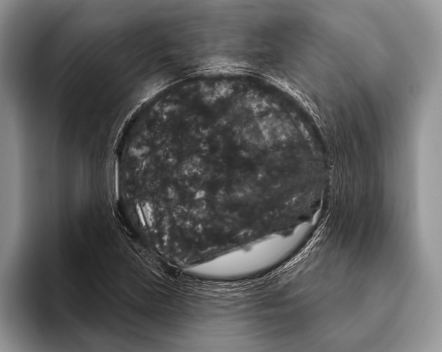 X0000093401219200711091335