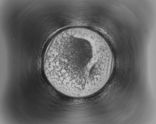 X0000093401220200711091335