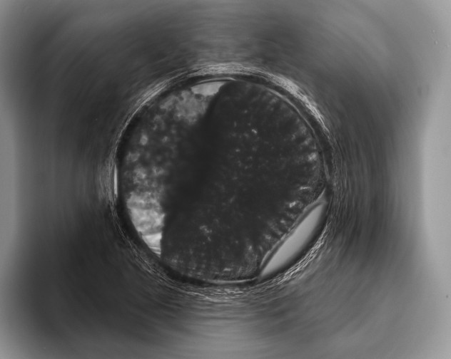 X0000093401221200711091335