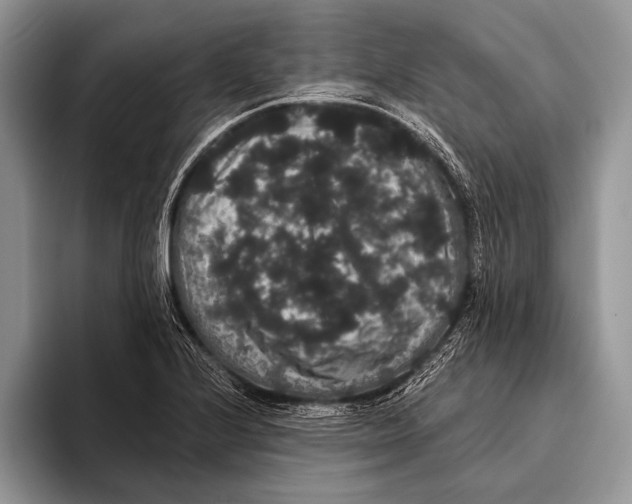 X0000093401224200711091335