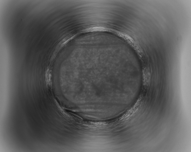 X0000093401225200711091335