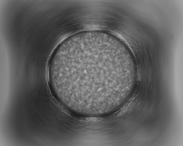 X0000093401227200711091335