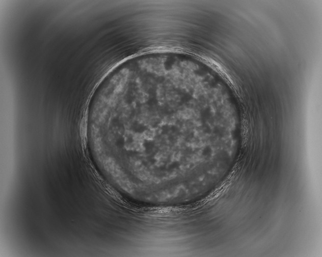 X0000093401228200711091335