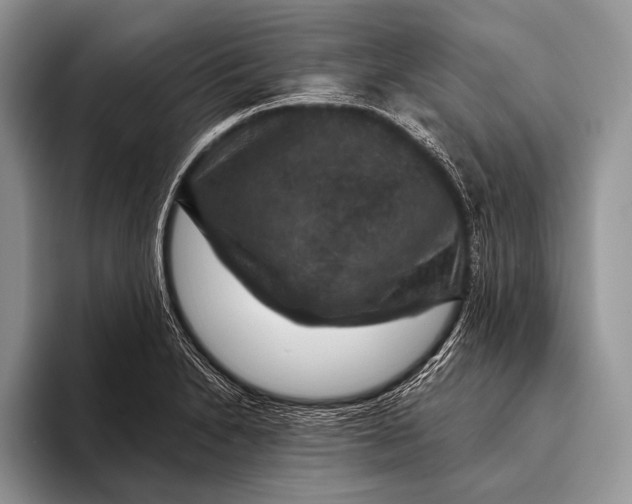 X0000093401230200711091335