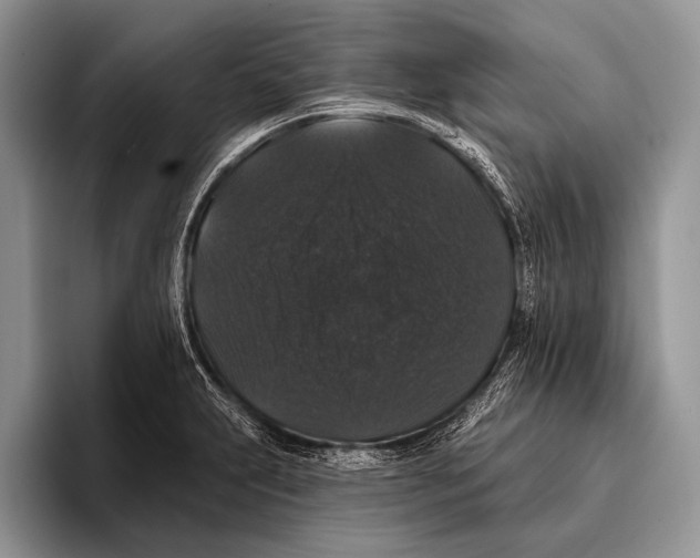 X0000093401231200711091335