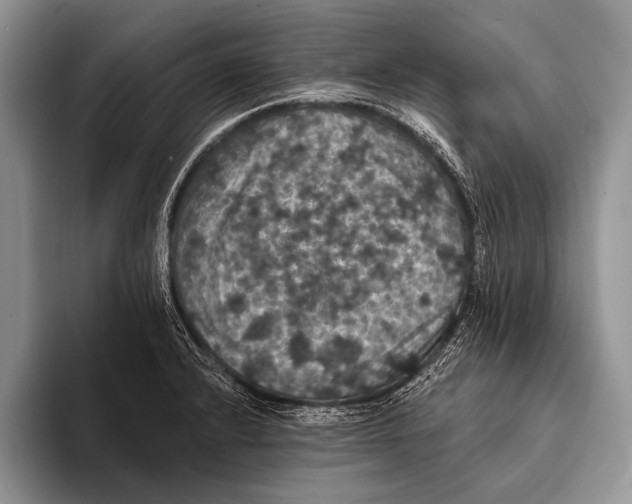 X0000093401232200711091335