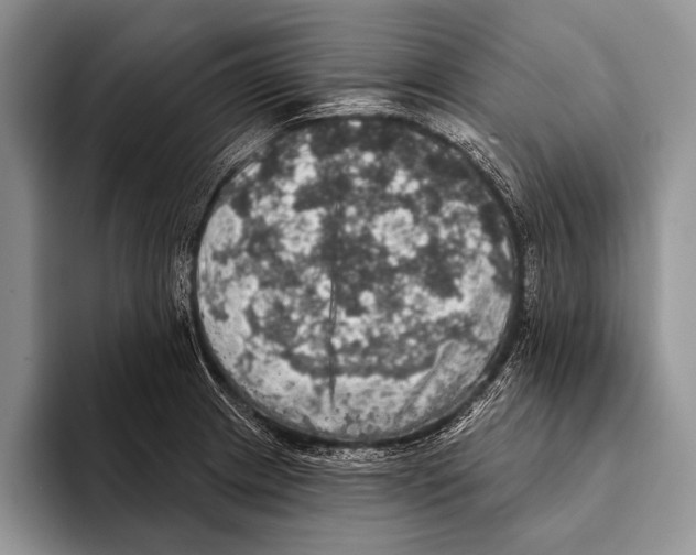 X0000093401233200711091335