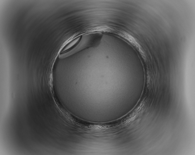 X0000093401234200711091335