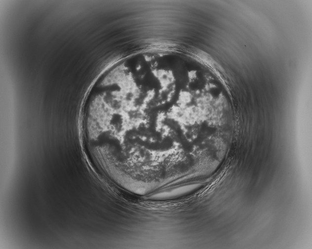 X0000093401235200711091335