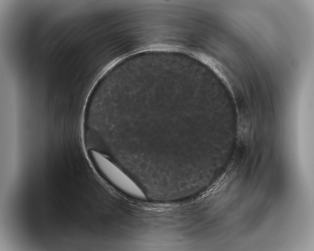 X0000093401237200711091335