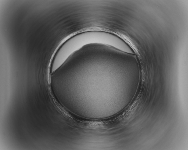 X0000093401238200711091335