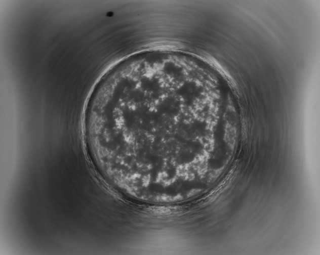 X0000093401240200711091335