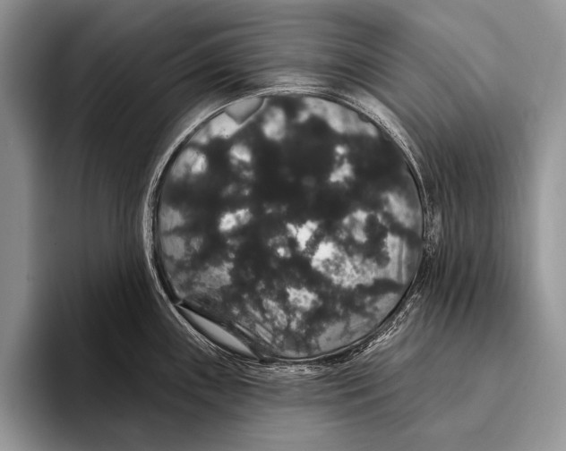 X0000093401243200711091335