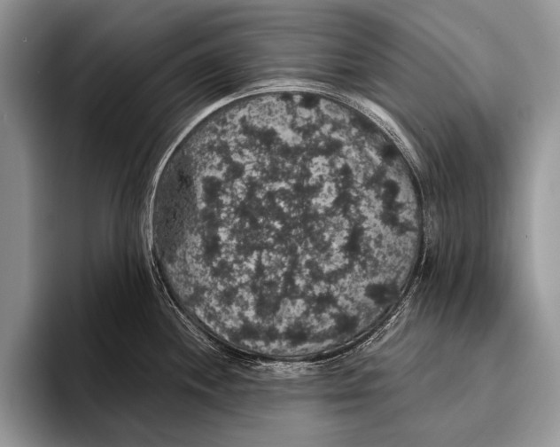 X0000093401244200711091335