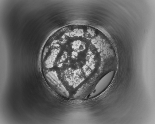 X0000093401248200711091335