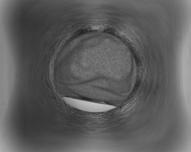 X0000093401249200711091334