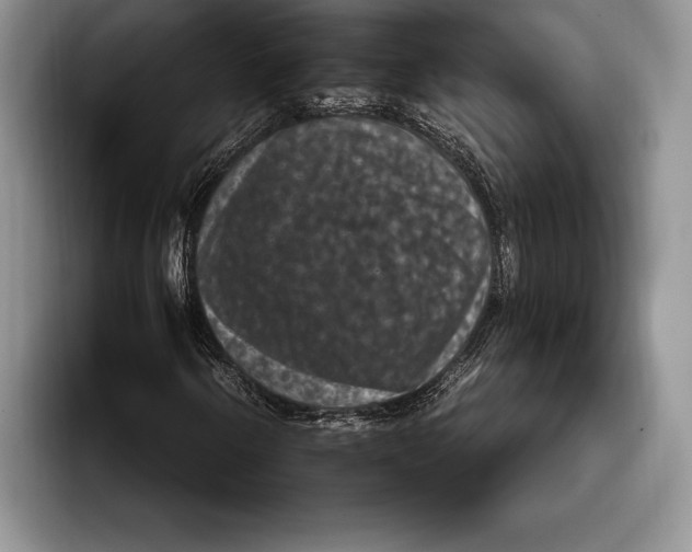 X0000093401250200711091334