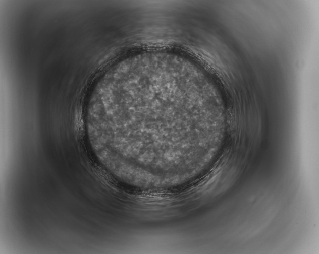 X0000093401252200711091334