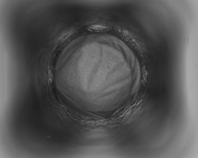 X0000093401253200711091334