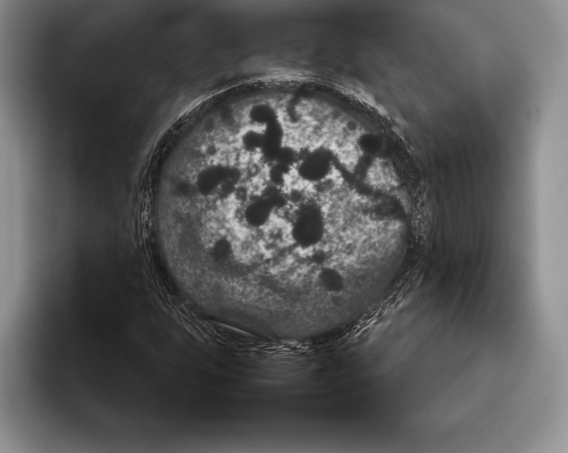 X0000093401255200711091334