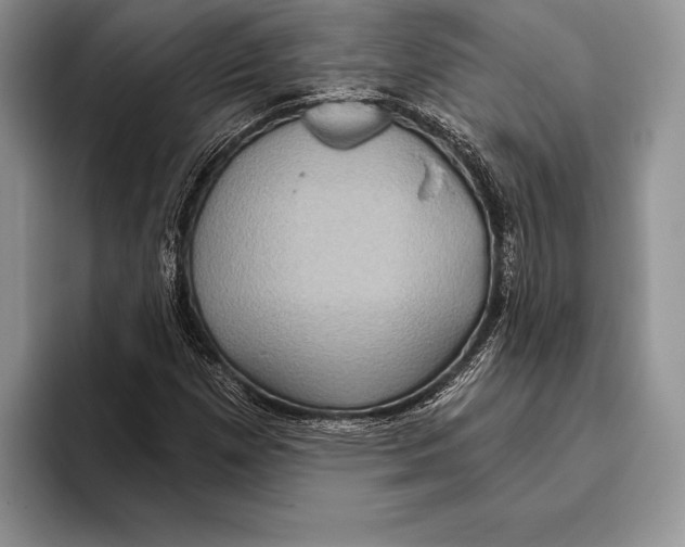 X0000093401257200711091334