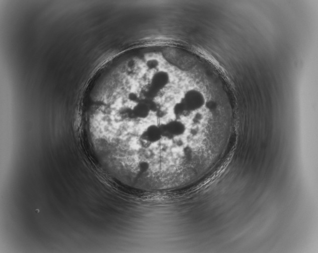 X0000093401259200711091334