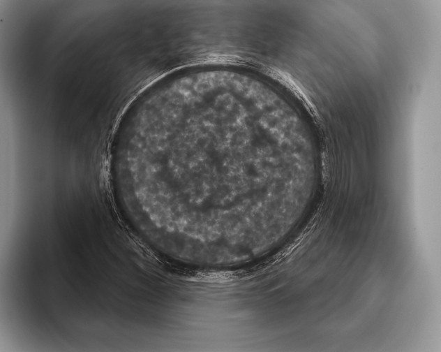 X0000093401260200711091334