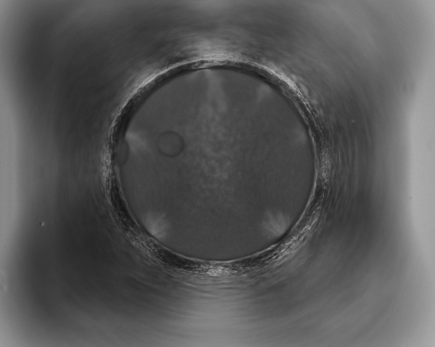 X0000093401263200711091334