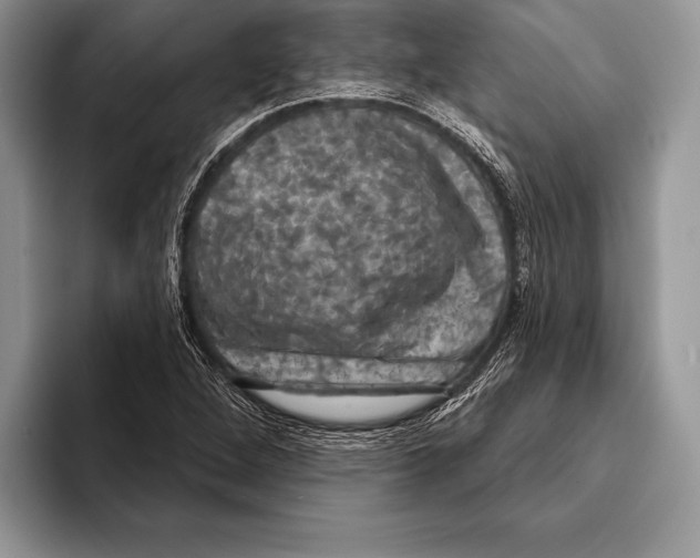 X0000093401264200711091334