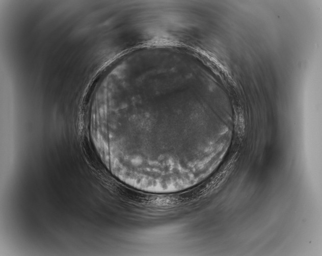 X0000093401266200711091334